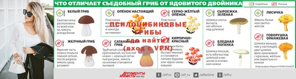 PSILOCYBIN Зерноград