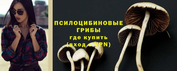 PSILOCYBIN Зерноград