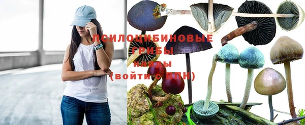метамфетамин Каменногорск