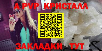 мяу мяу мука Беслан