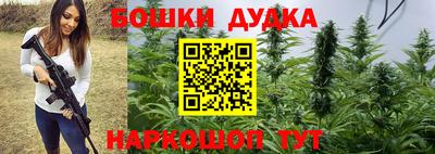 jwh Бийск