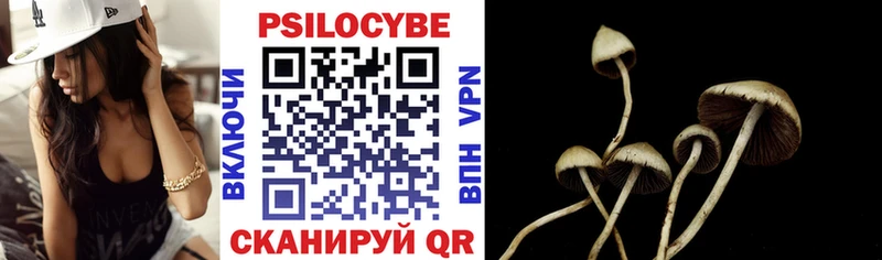 Псилоцибиновые грибы Psilocybine cubensis  Долгопрудный 