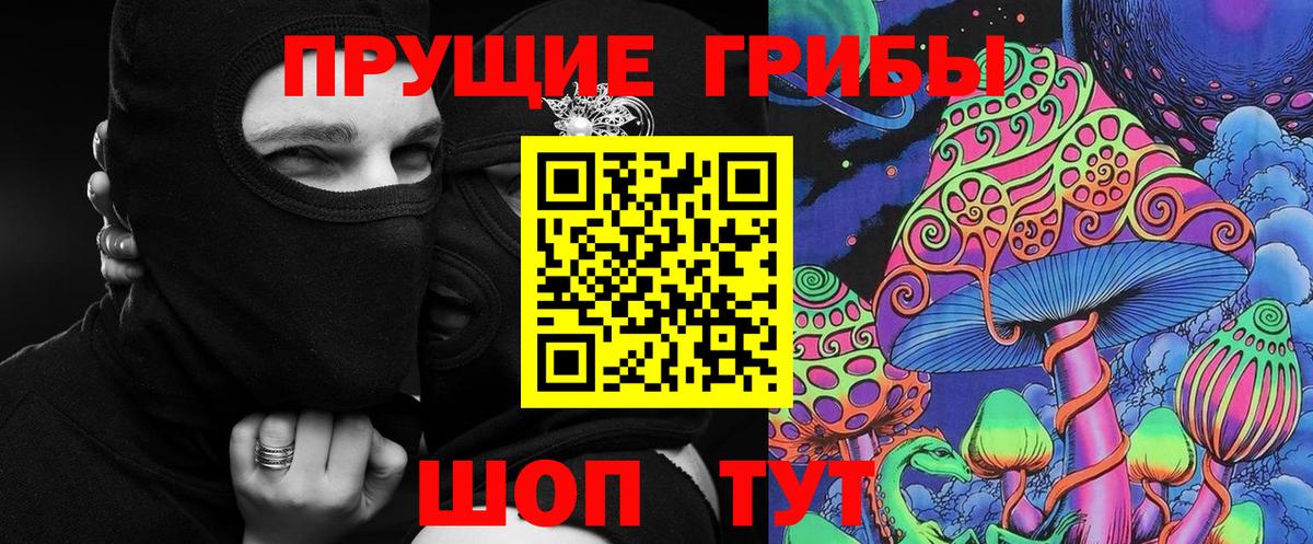 Псилоцибиновые грибы Cubensis Долгопрудный