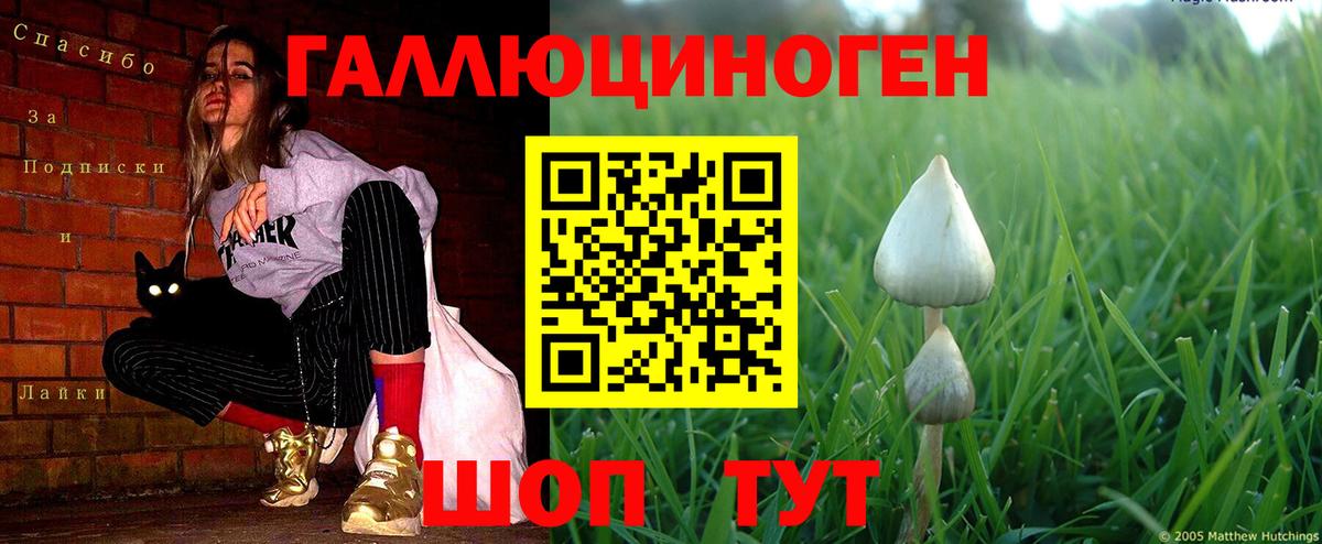 Галлюциногенные грибы ЛСД Долгопрудный